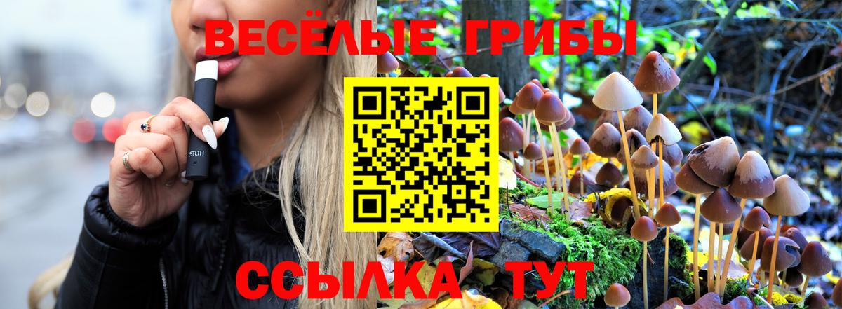 Псилоцибиновые грибы мицелий Троицк