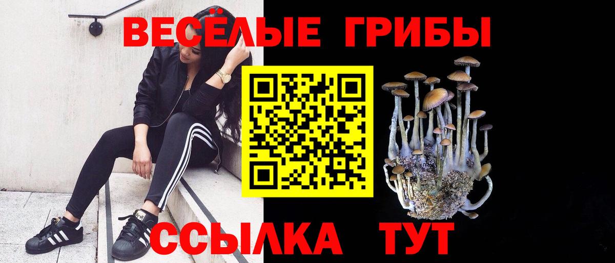 Троицк  Псилоцибиновые грибы GOLDEN TEACHER  Вход с VPN 